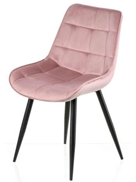 Стілець Special4You Damask pouder "T"